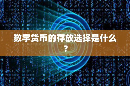 数字货币的存放选择是什么？