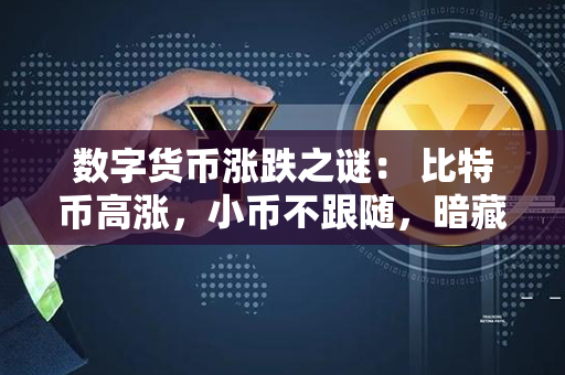 数字货币涨跌之谜： 比特币高涨，小币不跟随，暗藏何种玄机？