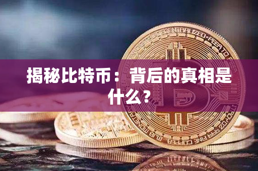 揭秘比特币：背后的真相是什么？