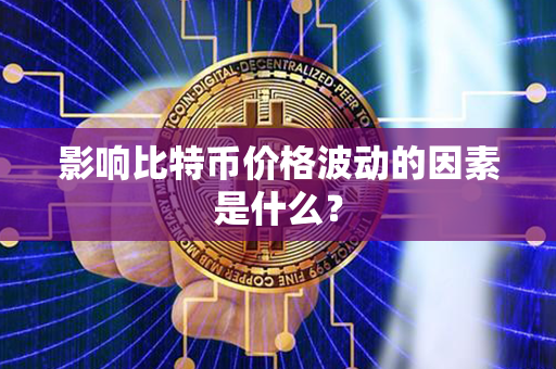 影响比特币价格波动的因素是什么？