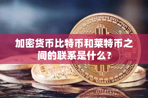 加密货币比特币和莱特币之间的联系是什么？