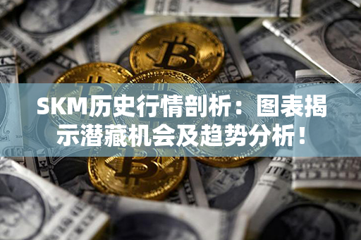 SKM历史行情剖析：图表揭示潜藏机会及趋势分析！