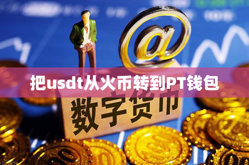 把usdt从火币转到PT钱包