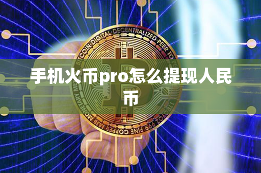 手机火币pro怎么提现人民币