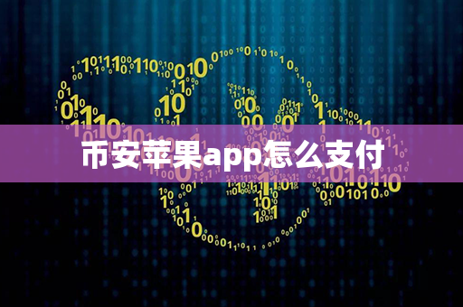 币安苹果app怎么支付