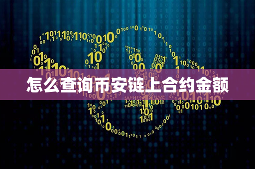 怎么查询币安链上合约金额