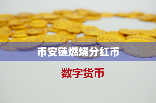 币安链燃烧分红币