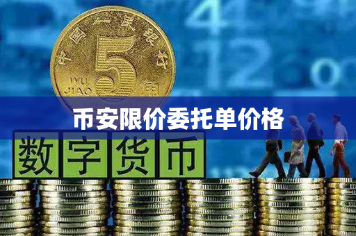 币安限价委托单价格