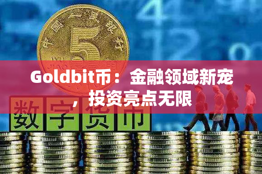 Goldbit币：金融领域新宠，投资亮点无限