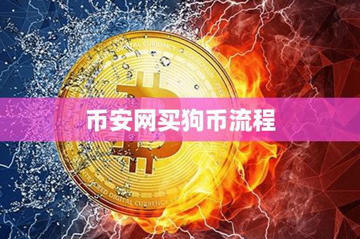 币安网买狗币流程