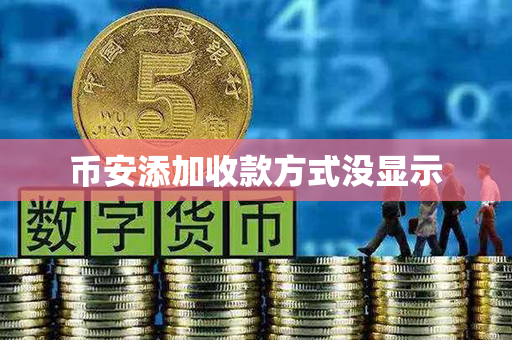 币安添加收款方式没显示