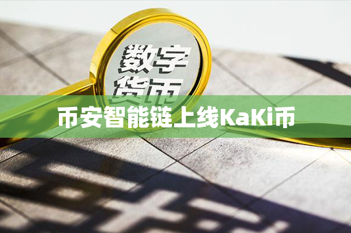 币安智能链上线KaKi币