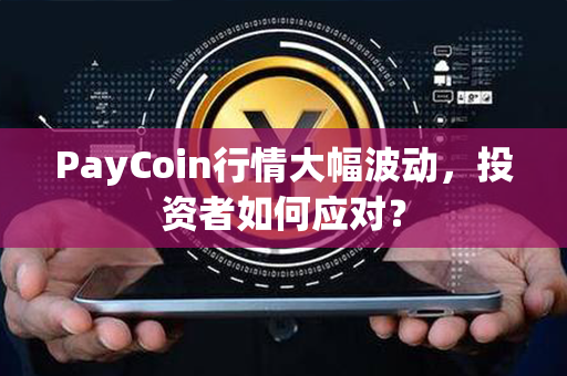 PayCoin行情大幅波动，投资者如何应对？