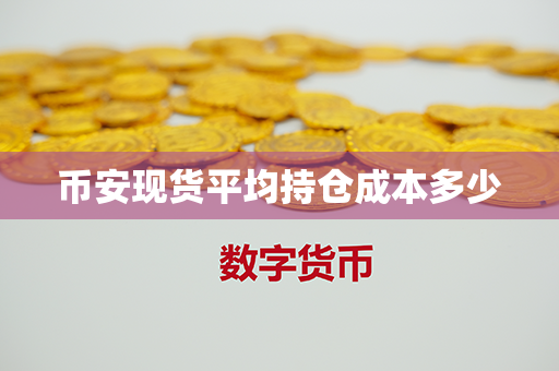 币安现货平均持仓成本多少