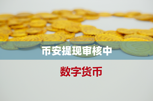 币安提现审核中