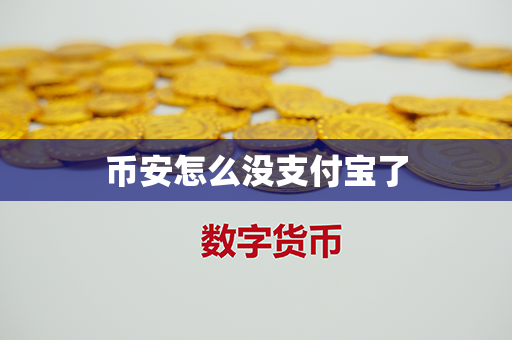 币安怎么没支付宝了