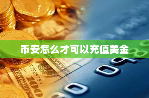 币安怎么才可以充值美金