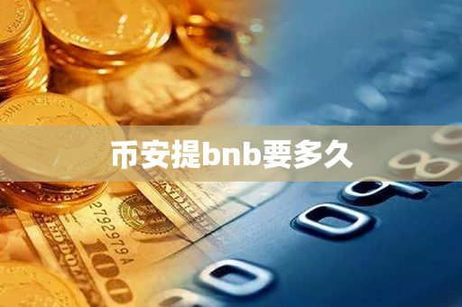 币安提bnb要多久