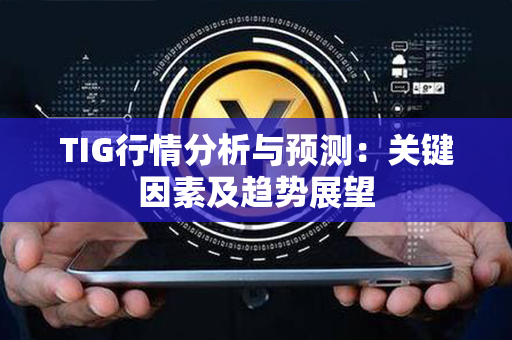 TIG行情分析与预测：关键因素及趋势展望