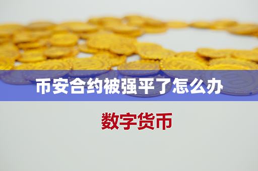 币安合约被强平了怎么办