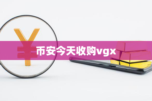 币安今天收购vgx