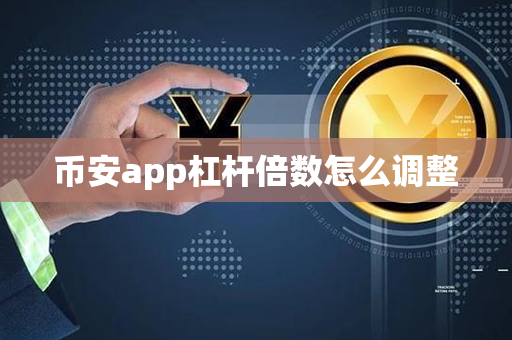 币安app杠杆倍数怎么调整