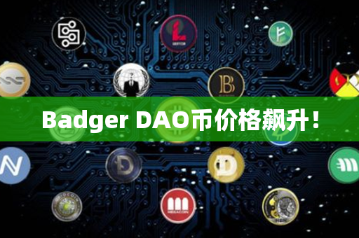 Badger DAO币价格飙升！