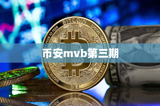 币安mvb第三期