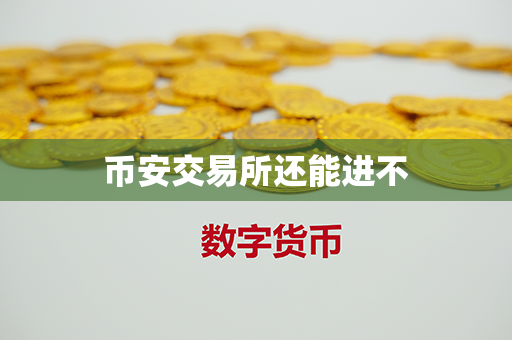 币安交易所还能进不