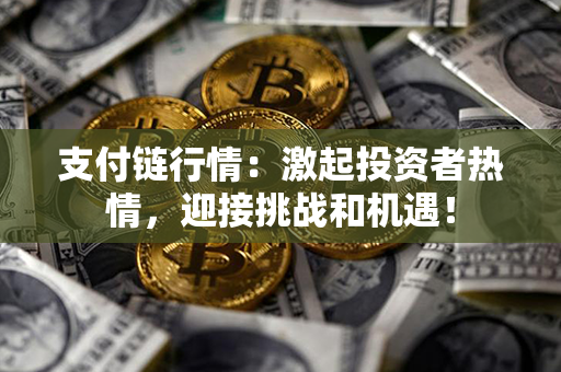 支付链行情：激起投资者热情，迎接挑战和机遇！