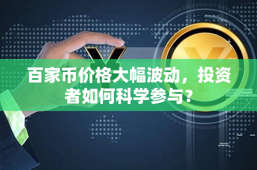 百家币价格大幅波动，投资者如何科学参与？