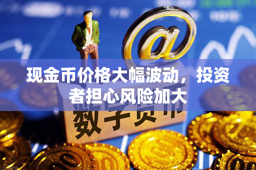 现金币价格大幅波动，投资者担心风险加大