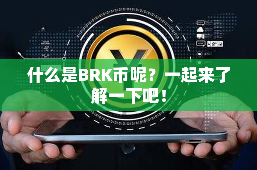 什么是BRK币呢？一起来了解一下吧！