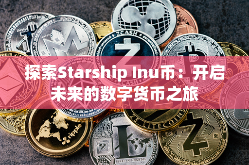 探索Starship Inu币：开启未来的数字货币之旅