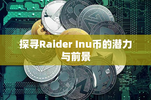 探寻Raider Inu币的潜力与前景