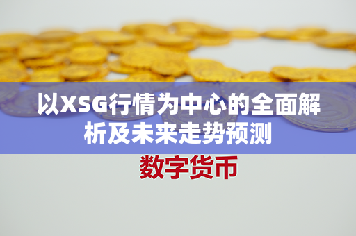 以XSG行情为中心的全面解析及未来走势预测